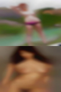Sluts swingers in Walnut Creek.